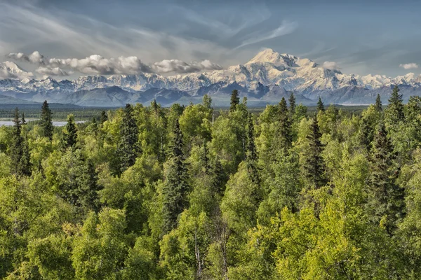 Панорама Denali Park Mount Mc Kinley — стоковое фото