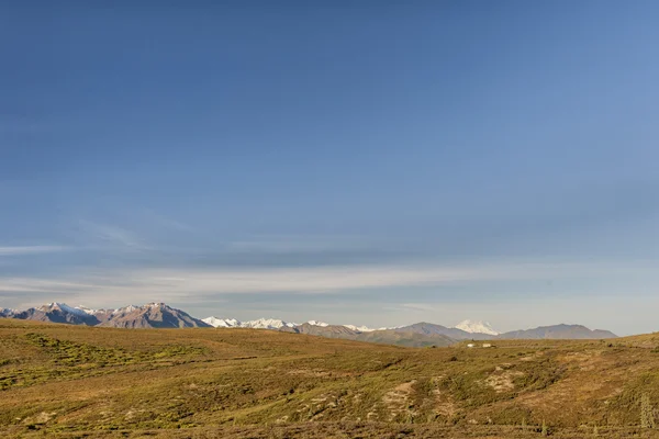 Denali Park Mount Mc Kinley panorama — Stockfoto