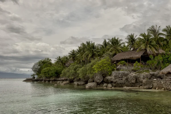 Un paradis tropical avec cocotier — Photo