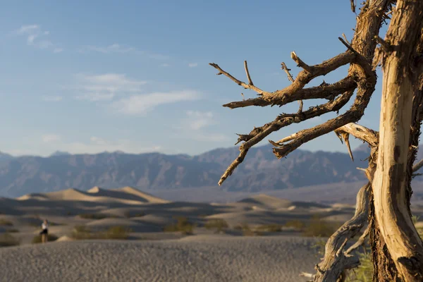Sanddünen im Death Valley — Stockfoto