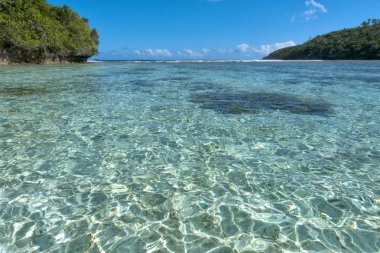 tropik cennet Polinezya lagoon beach