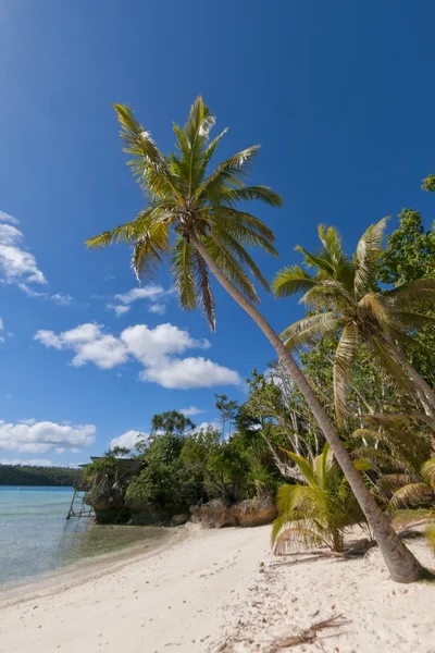 Tropisches Paradies polynesische Lagune Strand — Stockfoto