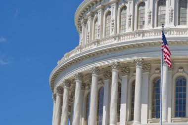Washington dc capitol detay