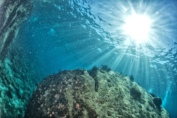 Scuba landscape with sun rays underwater