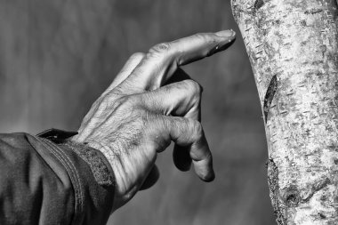 Hand of man on a tree in black and white clipart