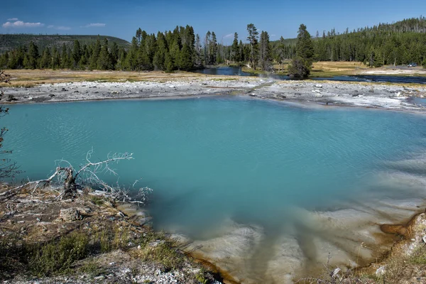 Pula szafirowe Yellowstone — Zdjęcie stockowe