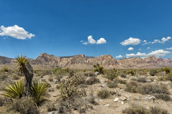 Arizona vista paisagem — Fotografia de Stock