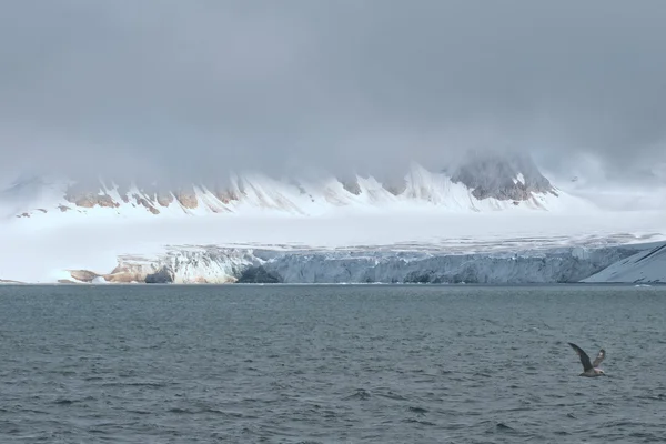 Svalbard spitzbergen krajobraz lodowiec — Zdjęcie stockowe