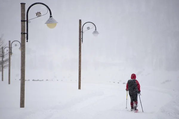 isolated snow shoe trekker