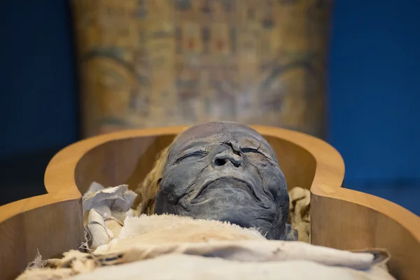 Egipskiej mumii — Zdjęcie stockowe