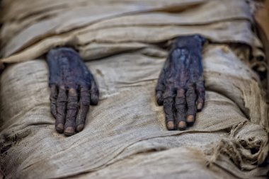 Egyptian mummy hands clipart