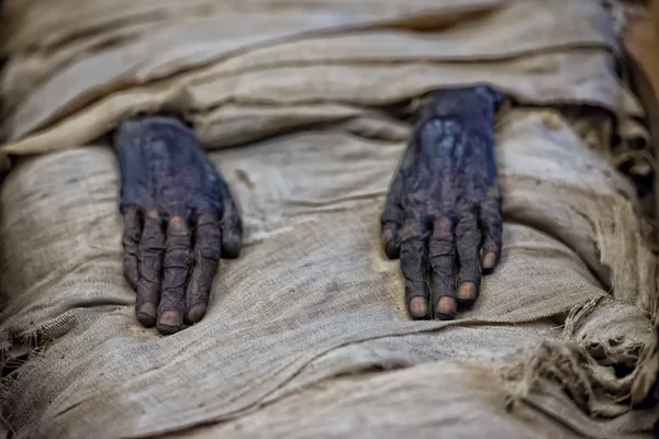 Manos de momia egipcia — Foto de Stock