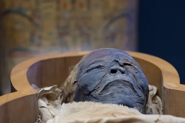 Egyptische mummie — Stockfoto