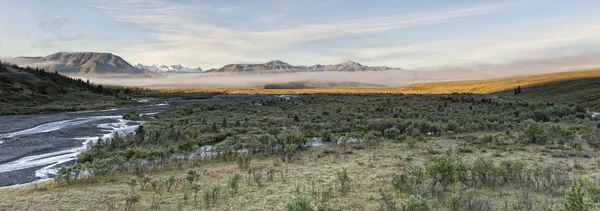 Denali Park Mount Mc Kinley panorama — Stock Photo, Image