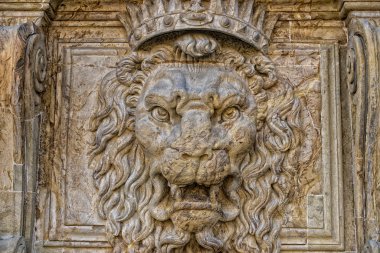 Palazzo pitti aslan 