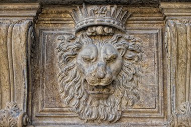 palazzo pitti lion  clipart