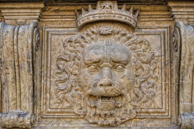 Palazzo pitti aslan 