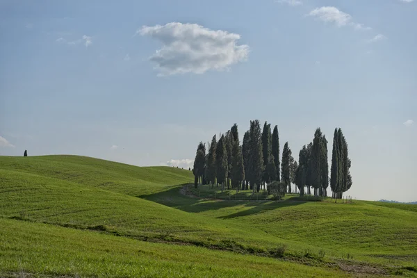 Тосканские холмы — стоковое фото