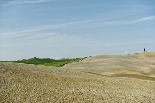 Tuscany hills landscape — Stock Photo, Image