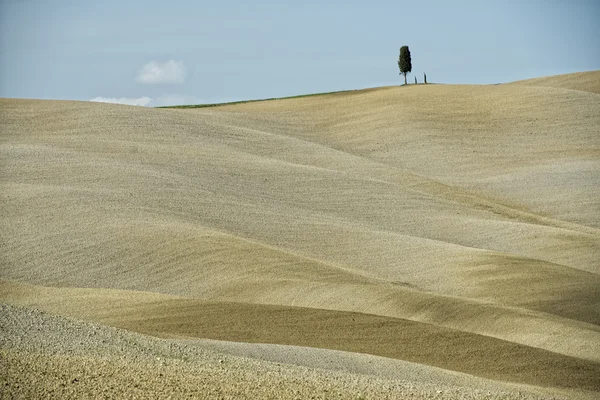 Тосканские холмы — стоковое фото