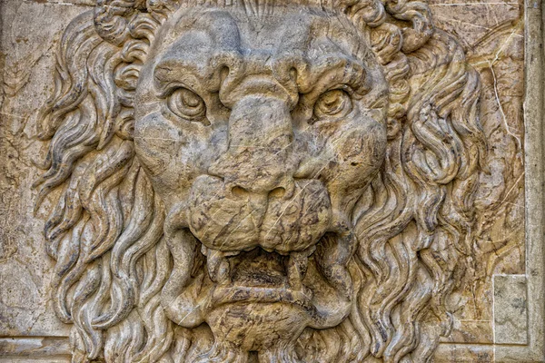 Palazzo pitti leone — Foto Stock