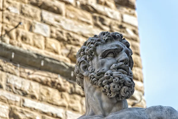 Florencii piazza della signoria socha — Stock fotografie