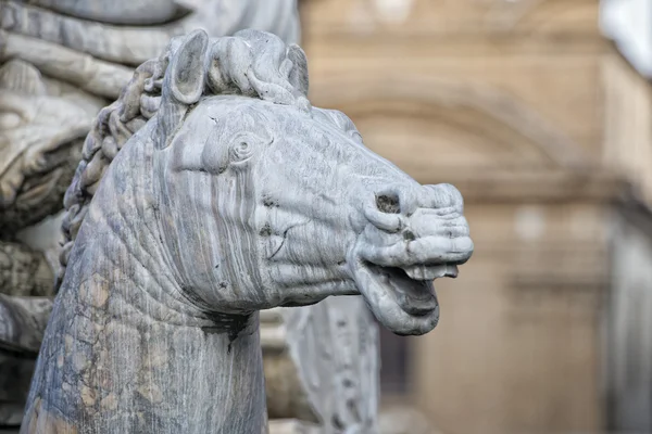 Florens piazza della signoria staty — Stockfoto