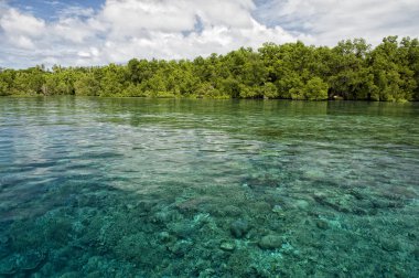 siladen turkuaz tropik cennet Adası