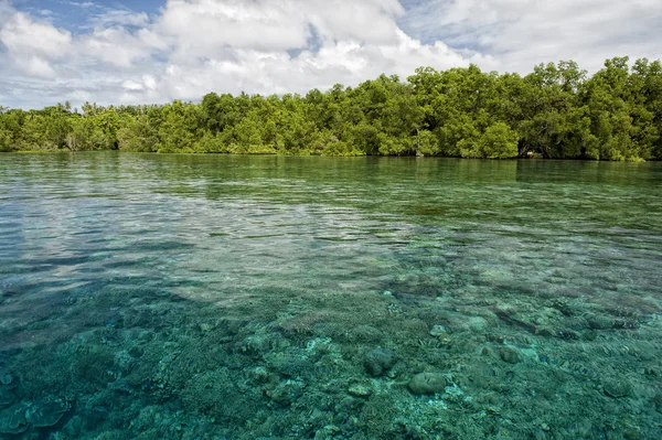 Siladen ターコイズ ブルーの熱帯の楽園の島 — ストック写真