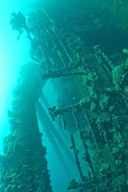 Dalgıçların Kızıl deniz gemi kazasında keşfetmek