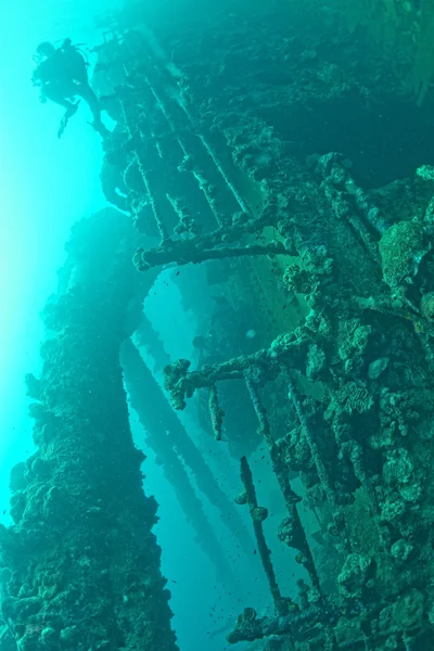 Taucher erkunden ein Schiffswrack im Roten Meer — Stockfoto
