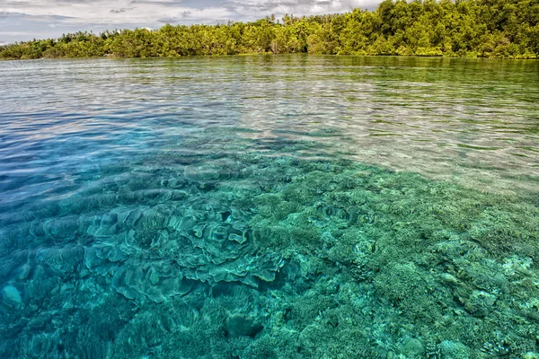 Luci chiare sulla barriera corallina nel paradiso tropicale — Foto Stock