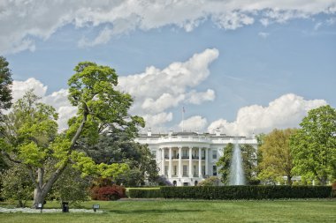 Washington Beyaz Saray güneşli
