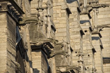 Notre dame paris heykel ve gargoyles 
