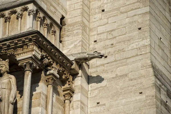 Notre dame paris standbeelden en waterspuwers — Stockfoto