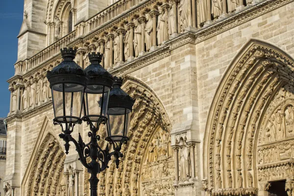 Notre dame paris standbeelden en waterspuwers — Stockfoto