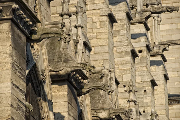 ノートルダム大聖堂パリの彫像とガーゴイル — ストック写真