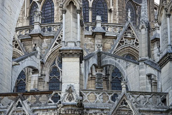 Notre dame paris standbeelden en waterspuwers — Stockfoto