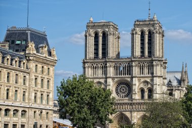 Notre dame paris heykel ve gargoyles 