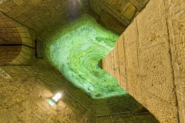 Catacombes de Paris Crânes et os — Photo