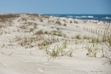 Beach kumulları
