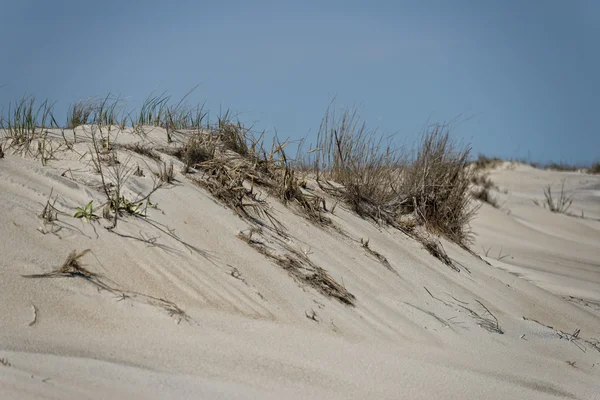 Beach sand dunes — Stock Photo, Image