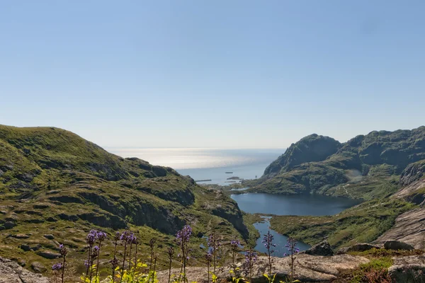 Lofoten Adası Norveç Fiyordu görünümü — Stok fotoğraf