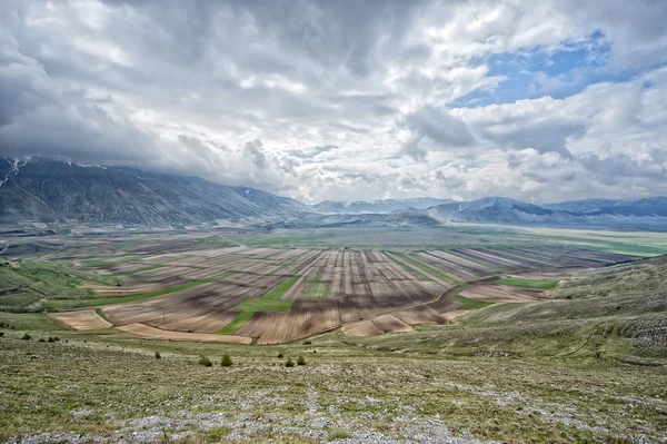 Castelluccio Umbra Italia paisaje — Foto de Stock