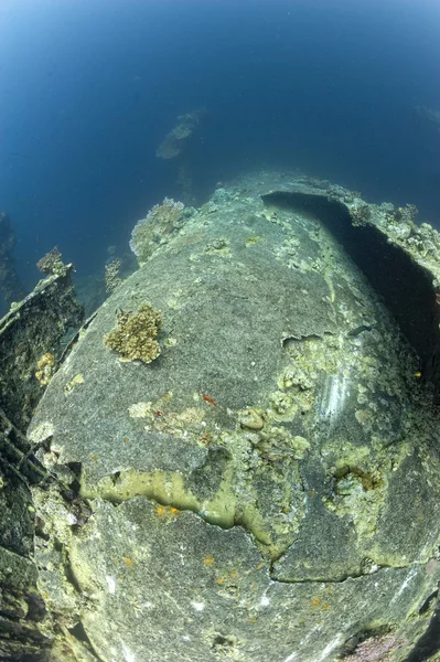 Umbrien vrak i Röda havet — Stockfoto