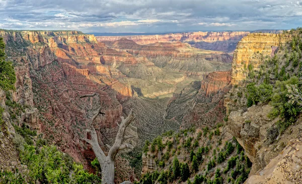 Grand Canyon view panorama from north rim — Stock Photo, Image