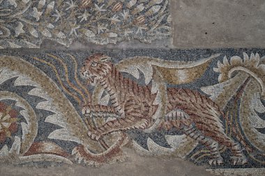 Roma döşeme mozaiği
