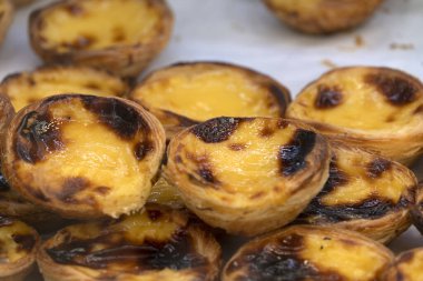 Pastel de Nata Lisbon geleneksel belem tatlı tatlı