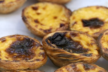 Pastel de Nata Lisbon geleneksel belem tatlı tatlı