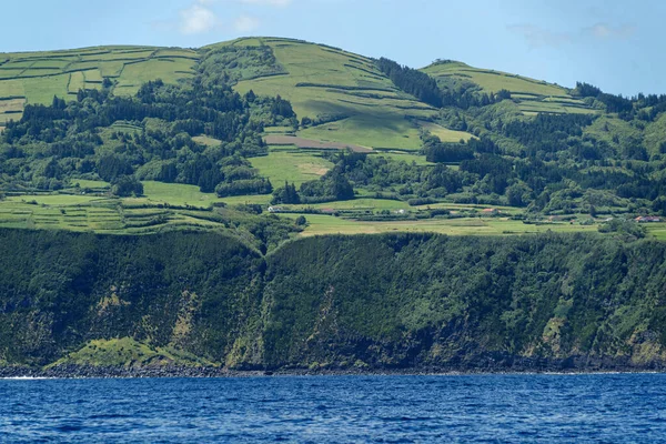 Faial Island Azores Cliff View Sea Landscape — Stock Photo, Image